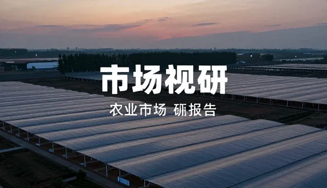 策划过程中信息缺失如何影响项目落地