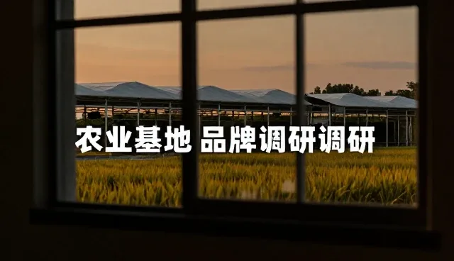 策划方案效果影响因素分析与选择依据